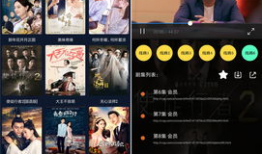 万能视频解析,轻松获取海量视频资源